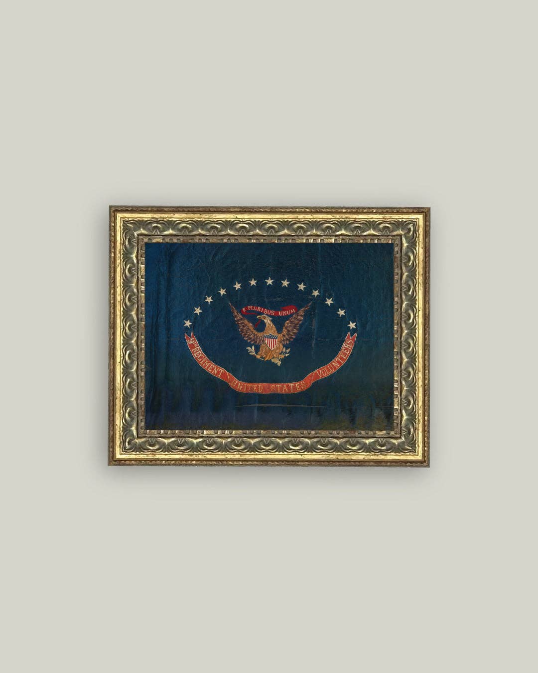 Flag of the 9th Regiment Framed Antique Art, Feathered Farmhouse