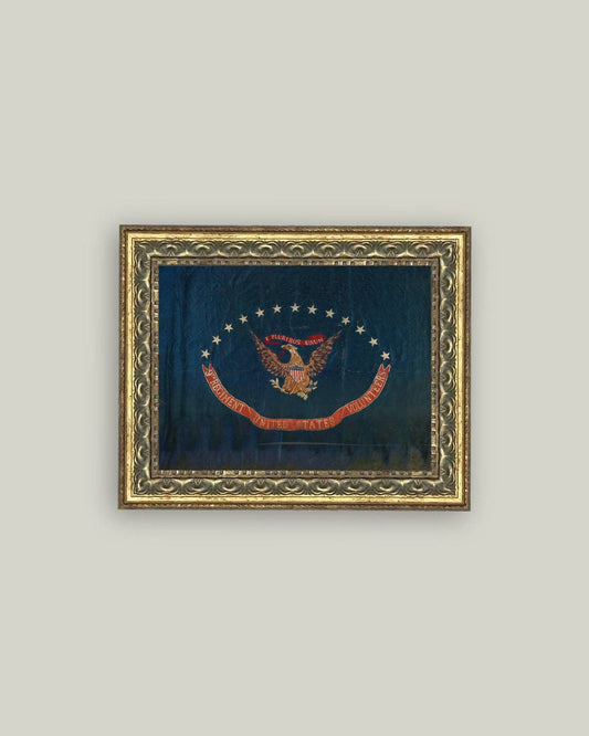 Flag of the 9th Regiment Framed Antique Art, Feathered Farmhouse