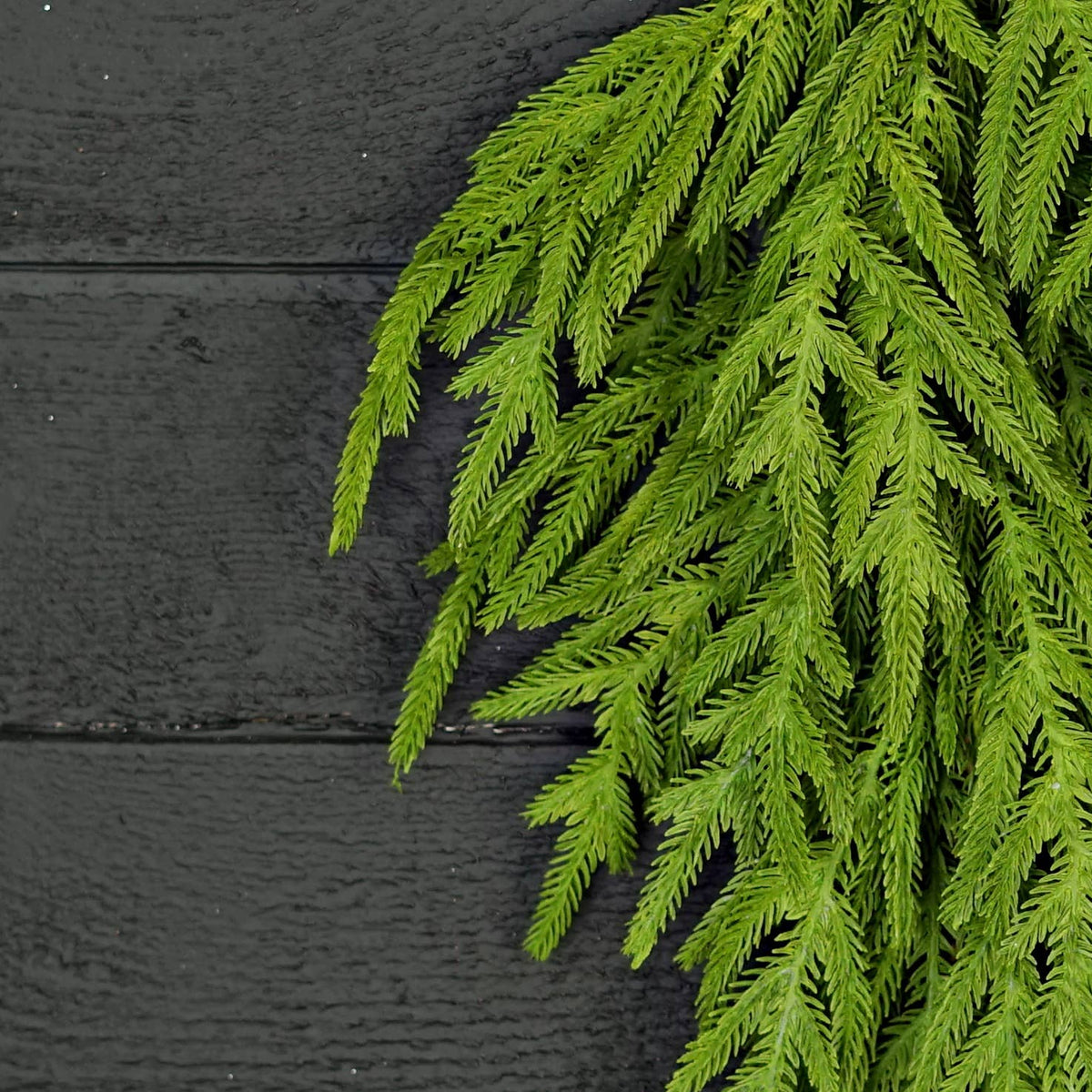 Evergreen Norfolk Pine Soft Touch Teardrop Swag, Feathered Farmhouse