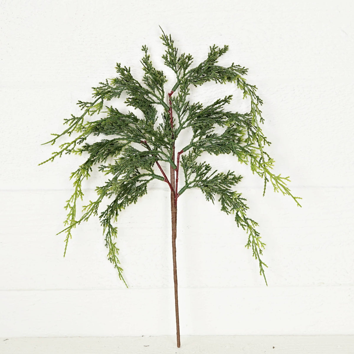 Mixed Green Cypress Pine Stem, Feathered Farmhouse