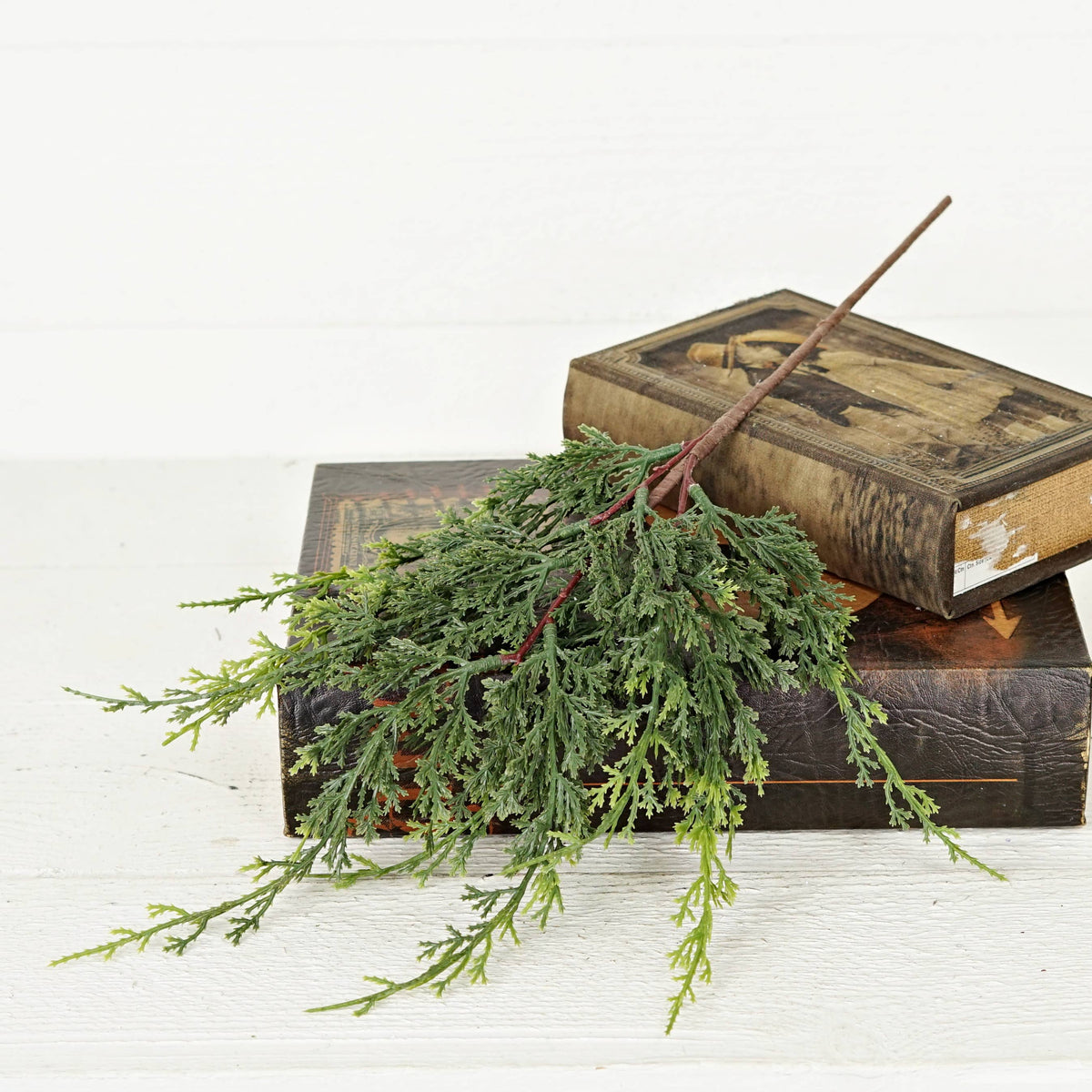 Mixed Green Cypress Pine Stem, Feathered Farmhouse