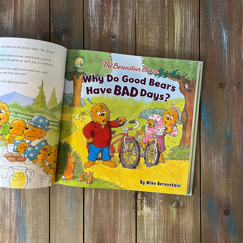 The Berenstain Bears Let's Go Play Collection, Feathered Farmhouse