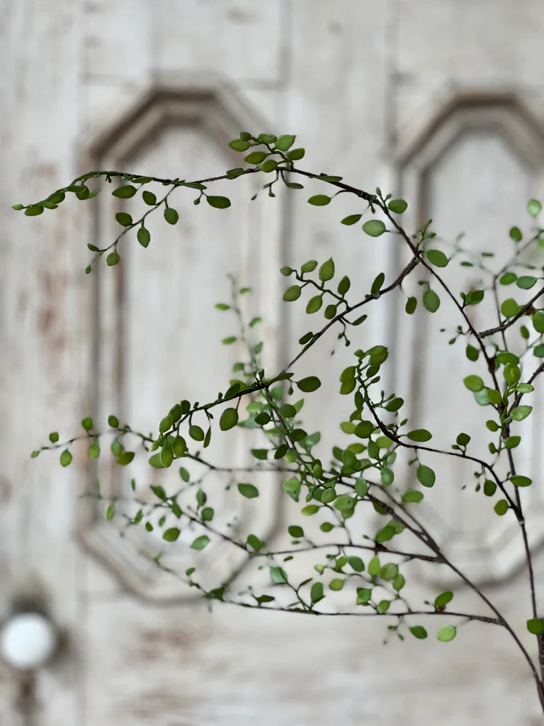 Rarrick Leaves Spray, Feathered Farmhouse