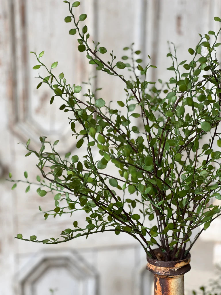 Rarrick Leaves Bush, Feathered Farmhouse