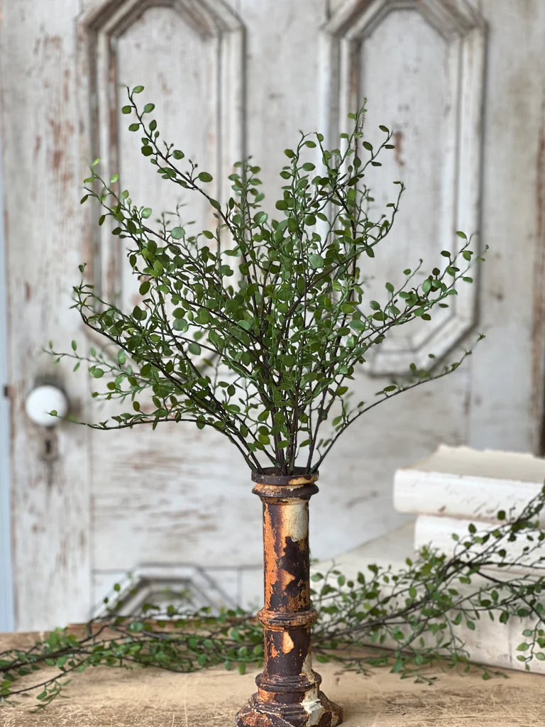 Rarrick Leaves Bush, Feathered Farmhouse