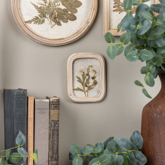 Framed Pressed White Flower, Feathered Farmhouse