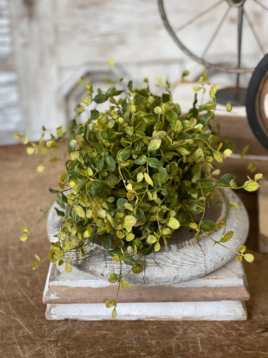 Green Bog Pimpernel Orb, Feathered Farmhouse