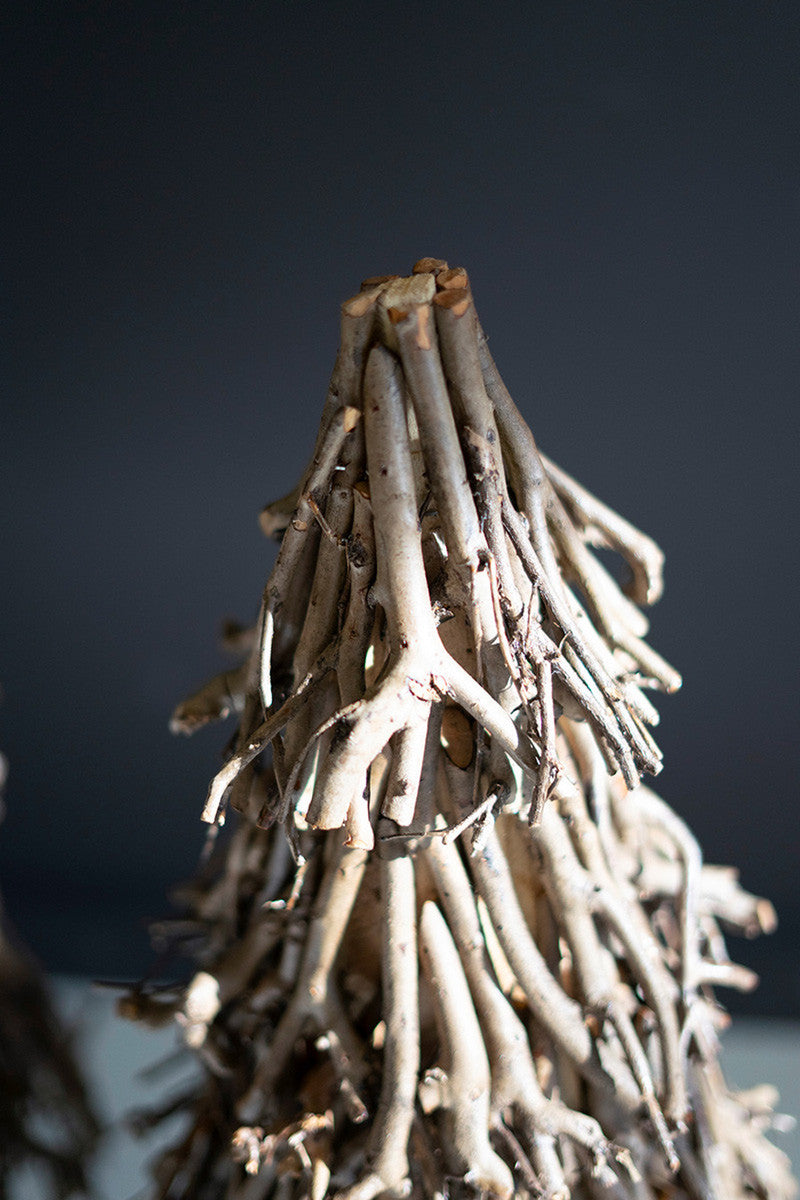 Paulownia Branch Trees, The Feathered Farmhouse