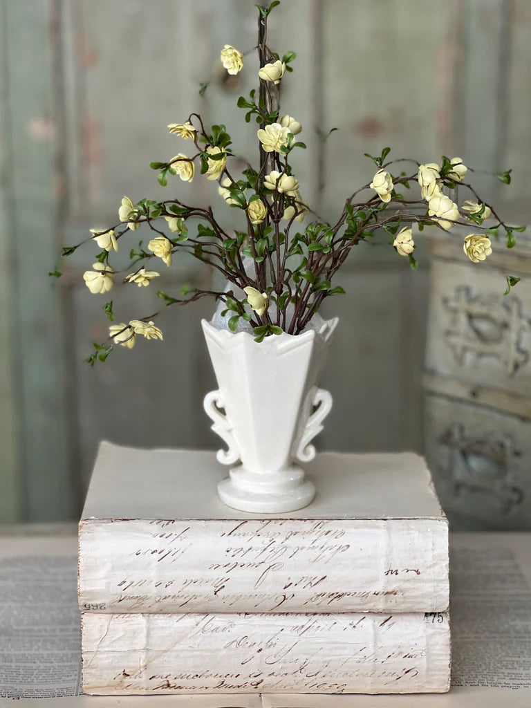 Cream Quince Bush, Feathered Farmhouse