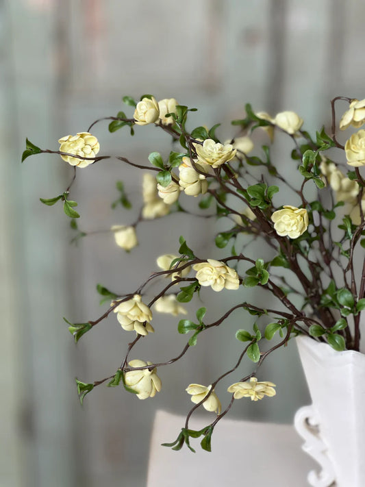 Cream Quince Bush, Feathered Farmhouse