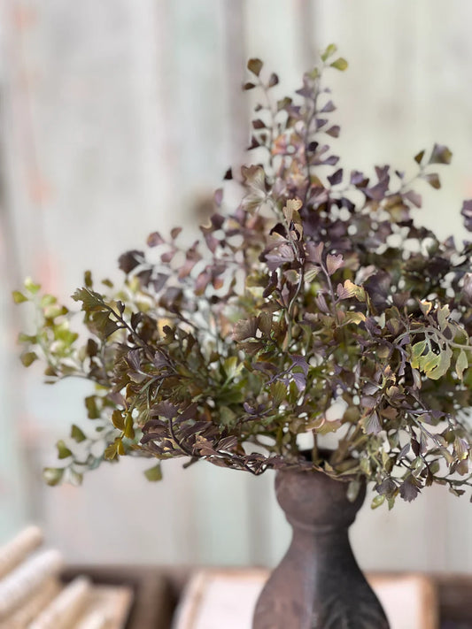 Wayward Shade Bush, Feathered Farmhouse