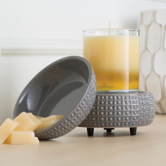 Slate 2-in-1 Fragrance Warmer, Feathered Farmhouse