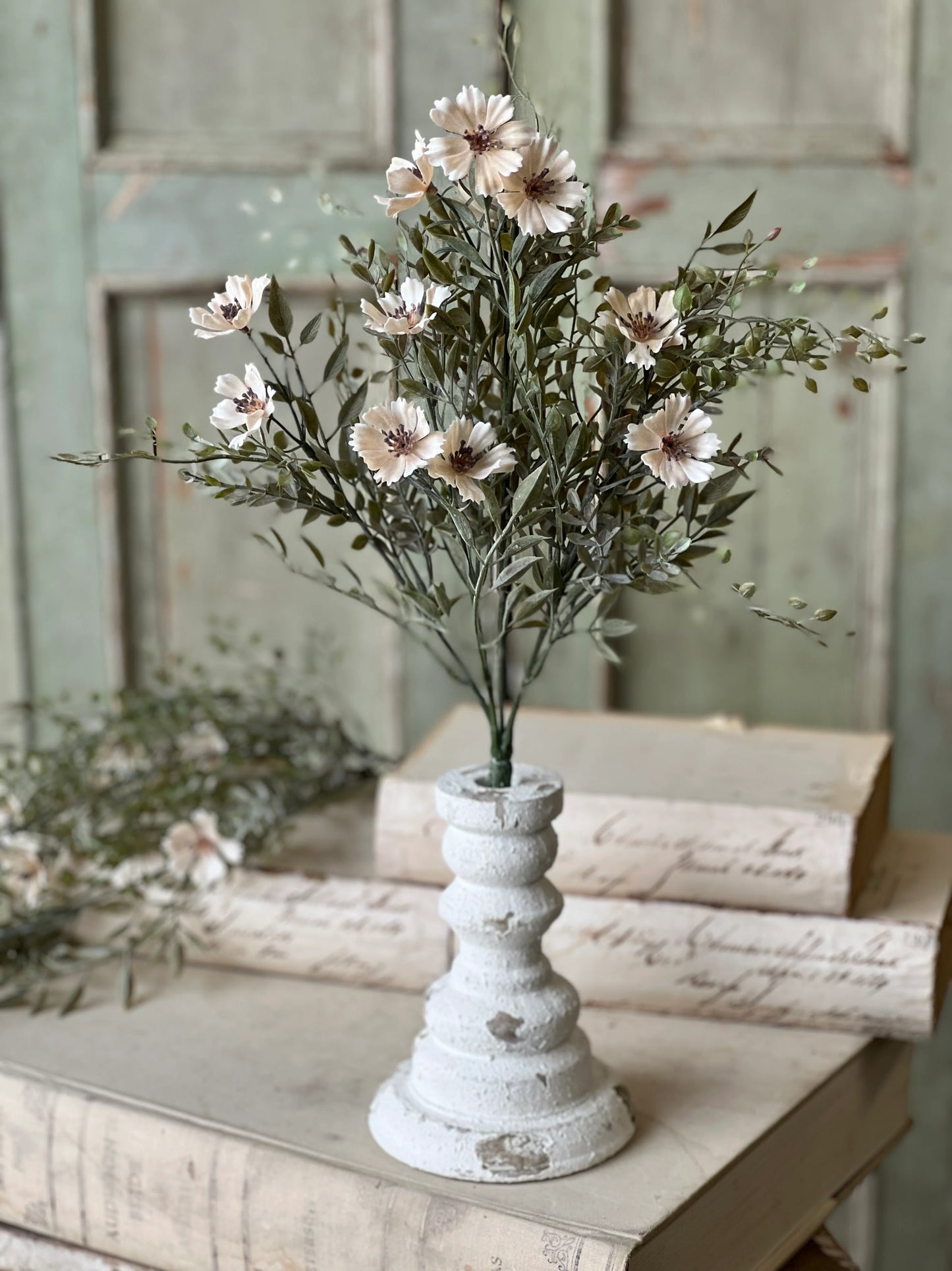 Charade Cosmos Bush, Feathered Farmhouse