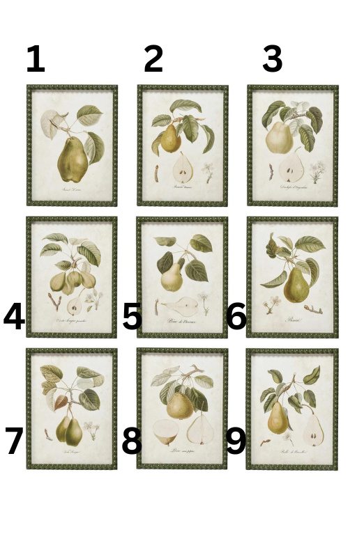 Vintage Reproduction Pear Print, The Feathered Farmhouse