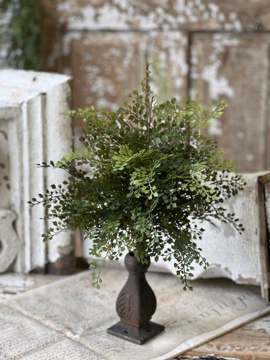 Damsel Fern Bush, Feathered Farmhouse