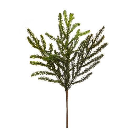 Balsam Fir Pick, The Feathered Farmhouse