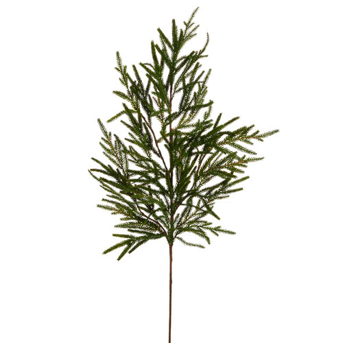 Norfolk Pine Branch, Feathered Farmhouse