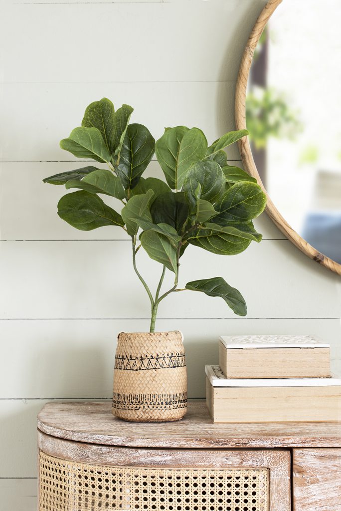 Fiddle Leaf Branch, The Feathered Farmhouse
