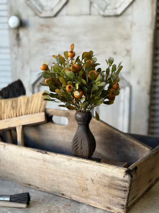 October Epilogue Bush, Feathered Farmhouse