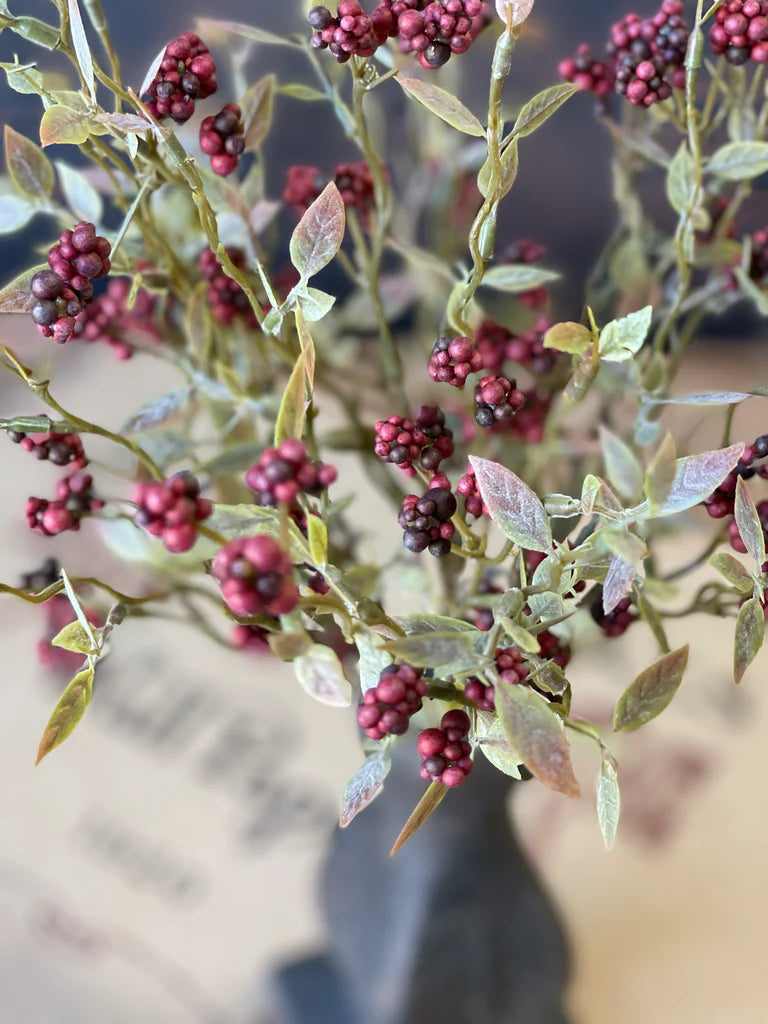 Deep Red Hasp Berry Bush, The Feathered Farmhouse