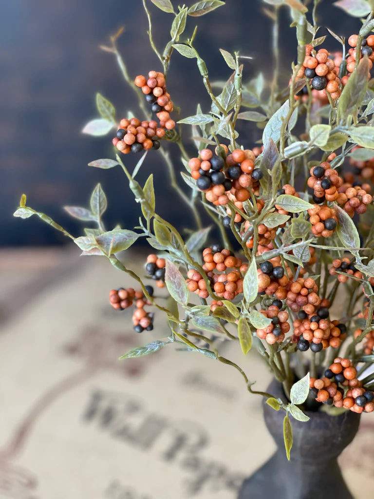 Pumpkin Hasp Berry Bush, The Feathered Farmhouse