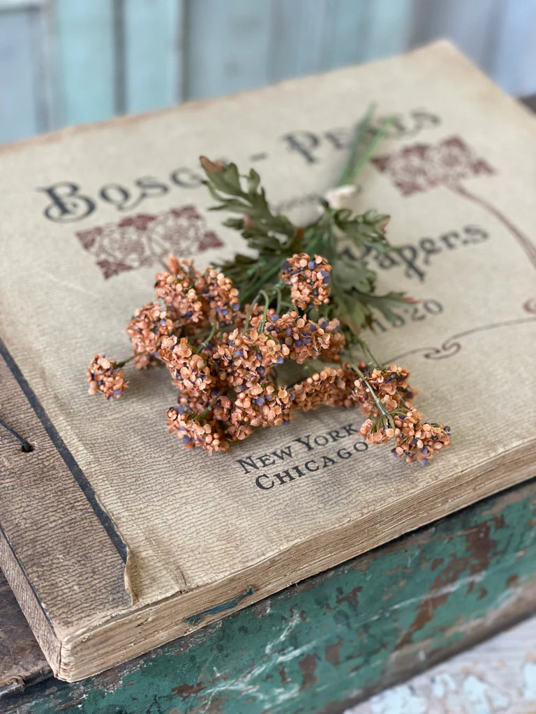 Fennel Flower Bundle, Feathered Farmhouse
