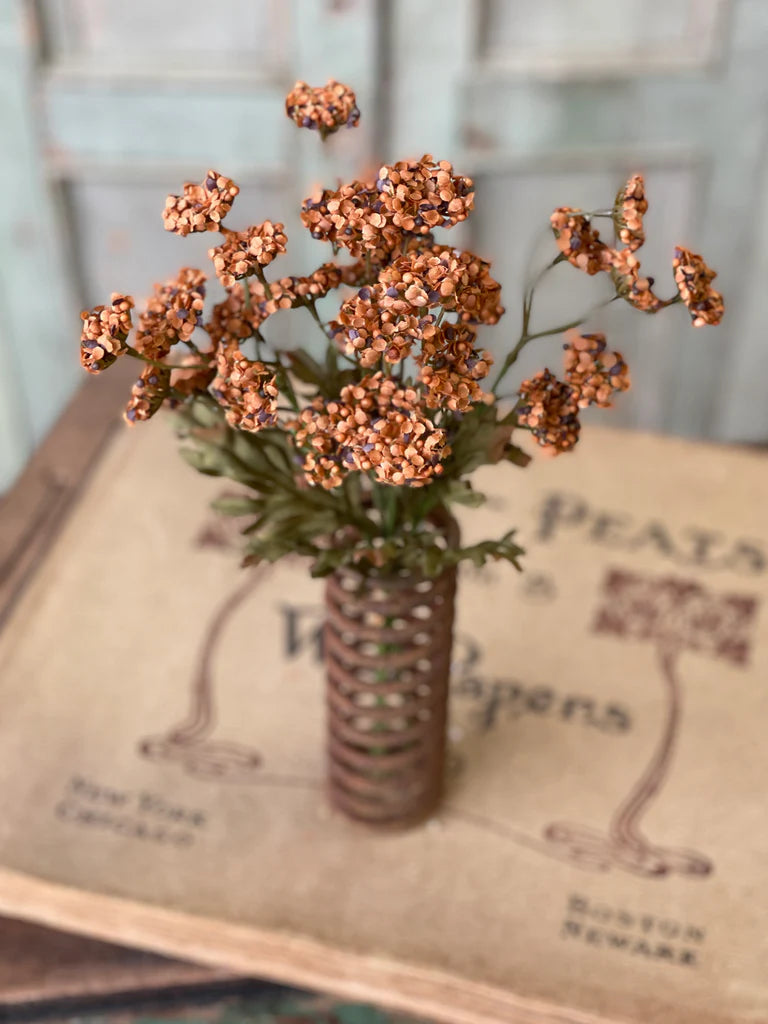 Fennel Flower Bundle, Feathered Farmhouse