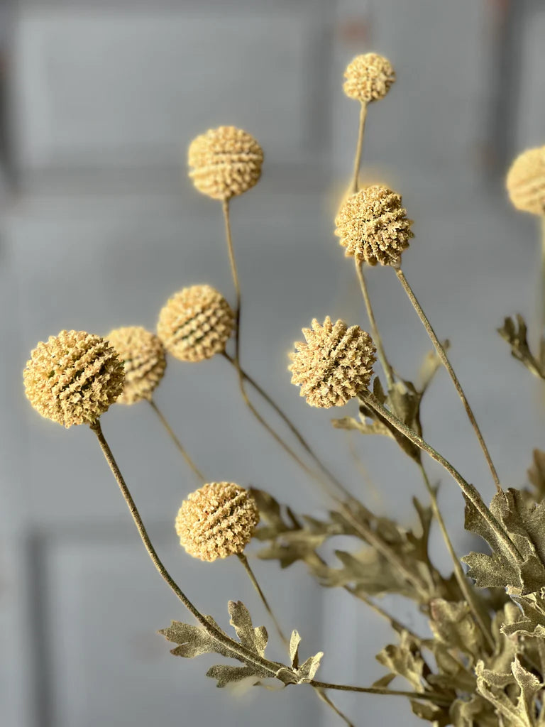 Fall Wind Dancer Bush, The Feathered Farmhouse