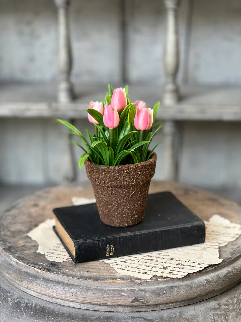 Teacup Tulip Pot, Feathered Farmhouse