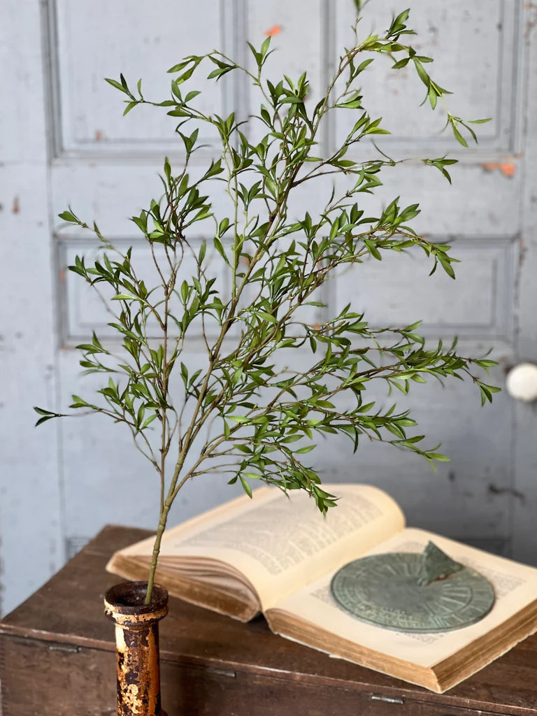 Sundial Leaves Spray, Feathered Farmhouse