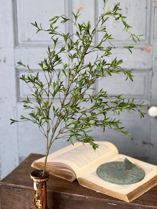 Sundial Leaves Spray, Feathered Farmhouse