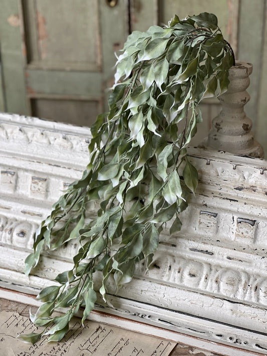 Gallivanting Greens Hanging, Feathered Farmhouse