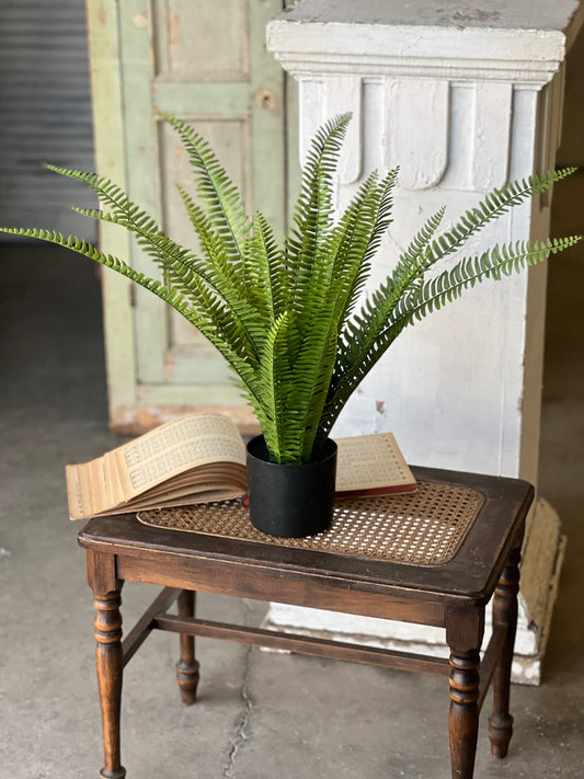 Kimberly Stand Up Potted Fern, The Feathered Farmhouse