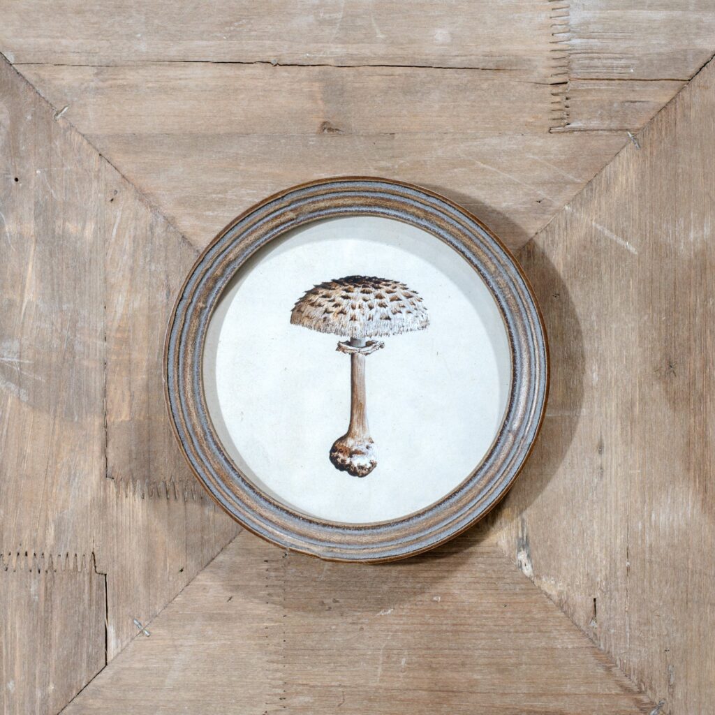 Mushroom Wall Art