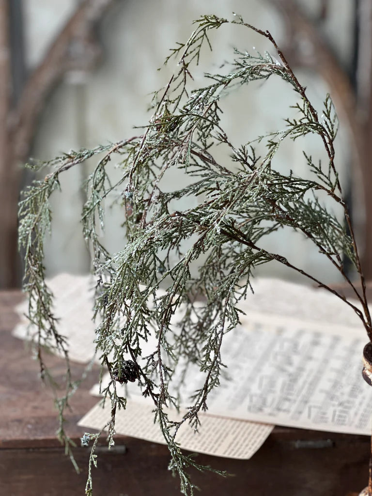 Weeping Cedar Branch Hanging, Feathered Farmhouse