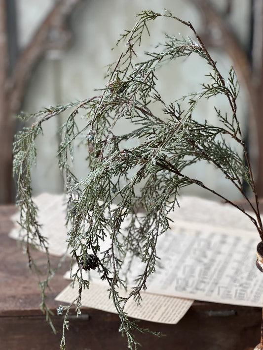 Weeping Cedar Branch Hanging, Feathered Farmhouse