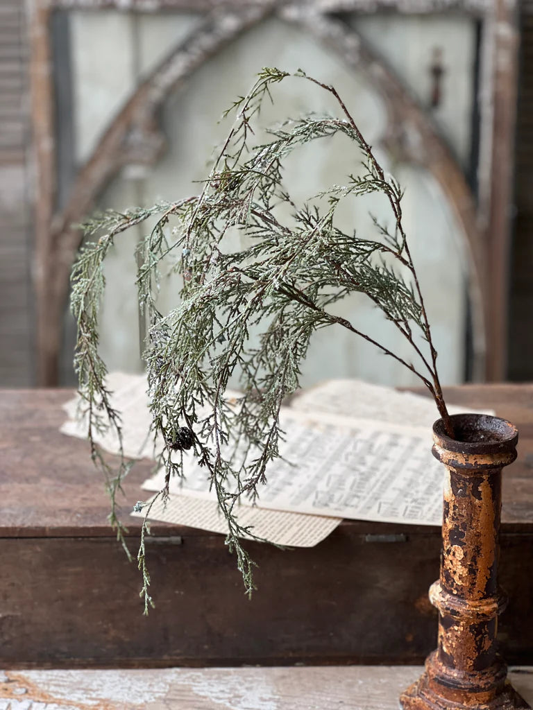 Weeping Cedar Branch Hanging, Feathered Farmhouse