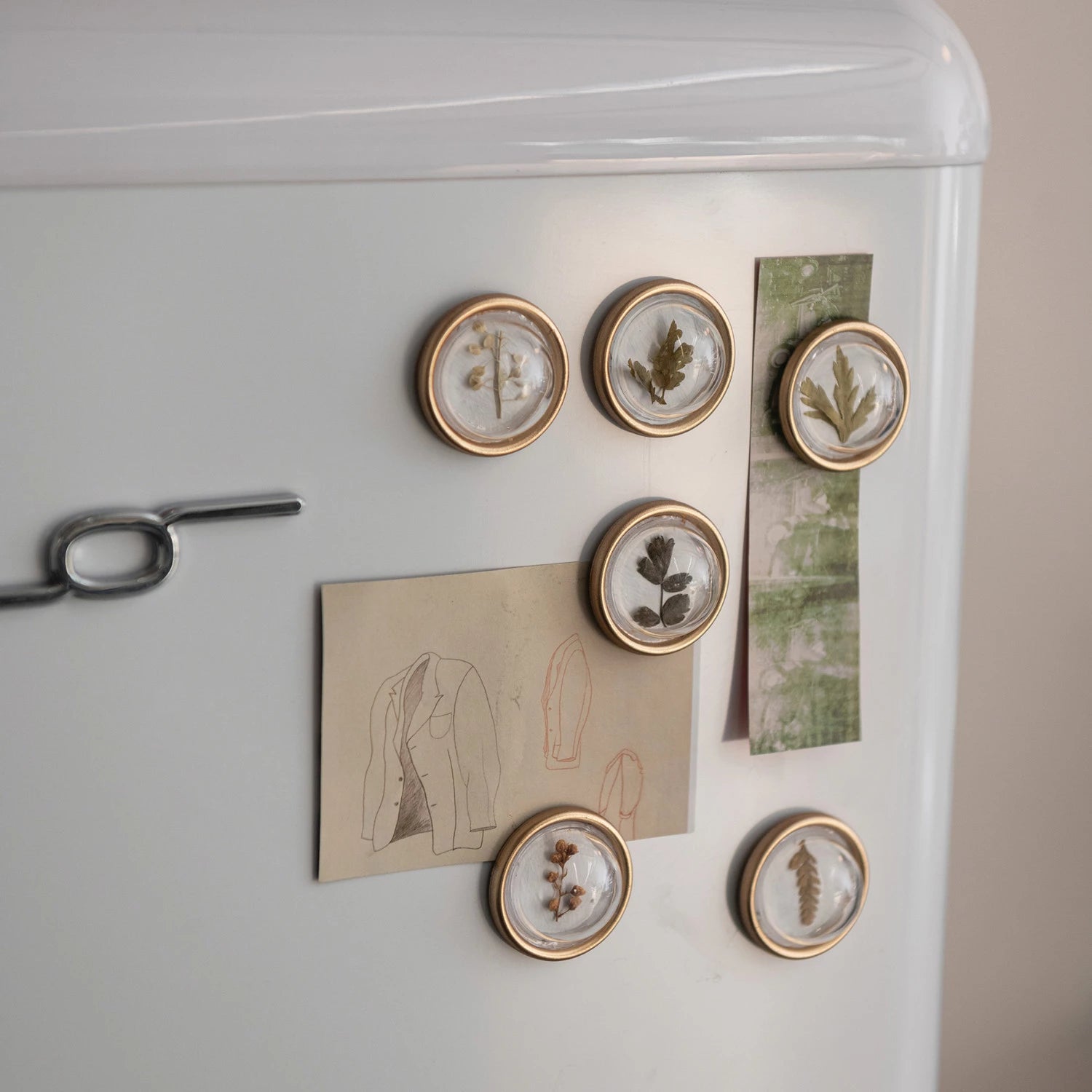 Dried Botanical Resin Convex Magnets, Feathered Farmhouse