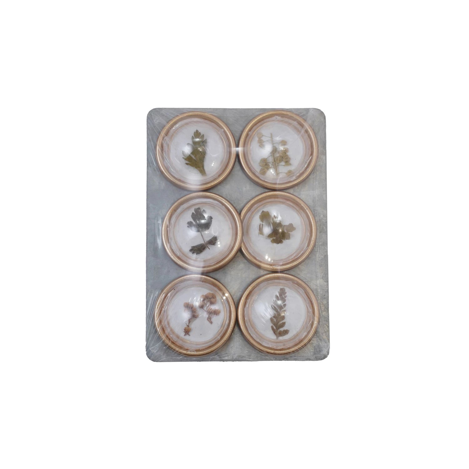 Dried Botanical Resin Convex Magnets, Feathered Farmhouse