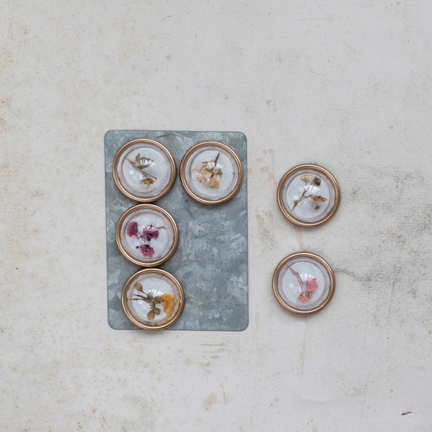 Dried Flower Resin Convex Magnets, Feathered Farmhouse