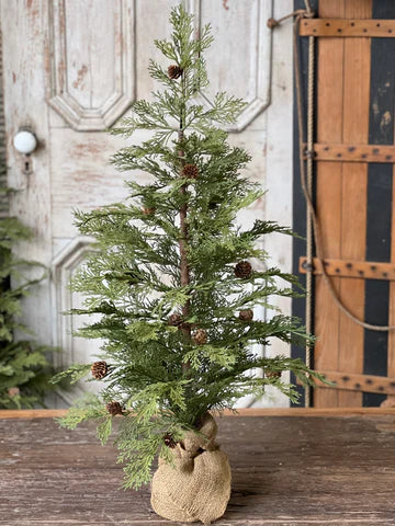 North Rim Hemlock Tree, Feathered Farmhouse