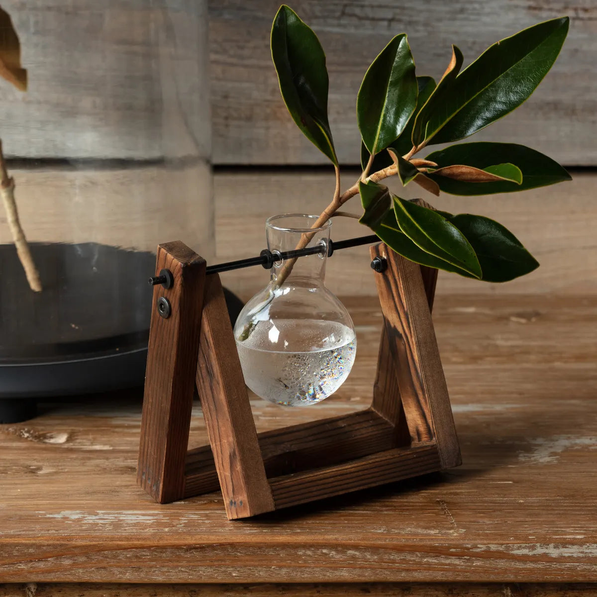 Rooting Vase on Wood Stand, Feathered Farmhouse