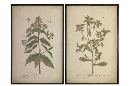 Grand Botanical Prints, Feathered Farmhouse