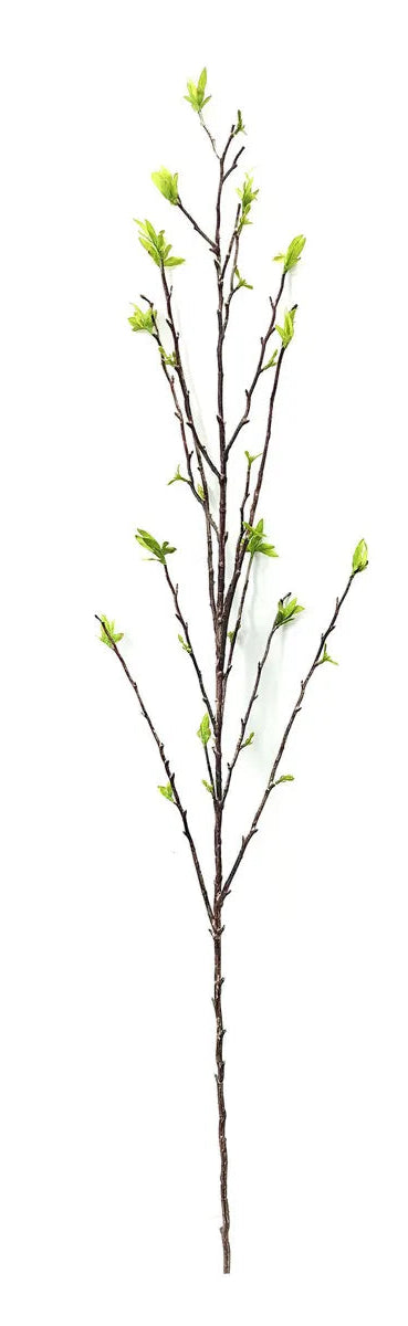 Budding Willow Branch, Feathered Farmhouse