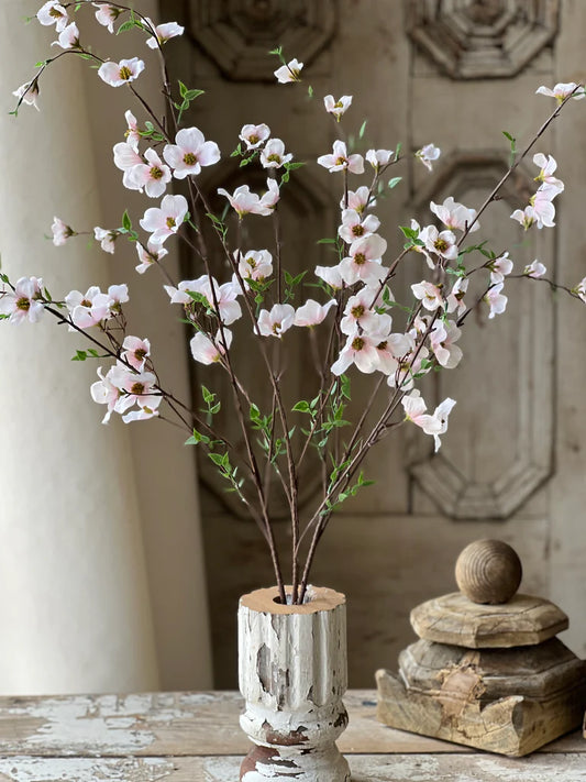 Pedigree Dogwood, Feathered Farmhouse