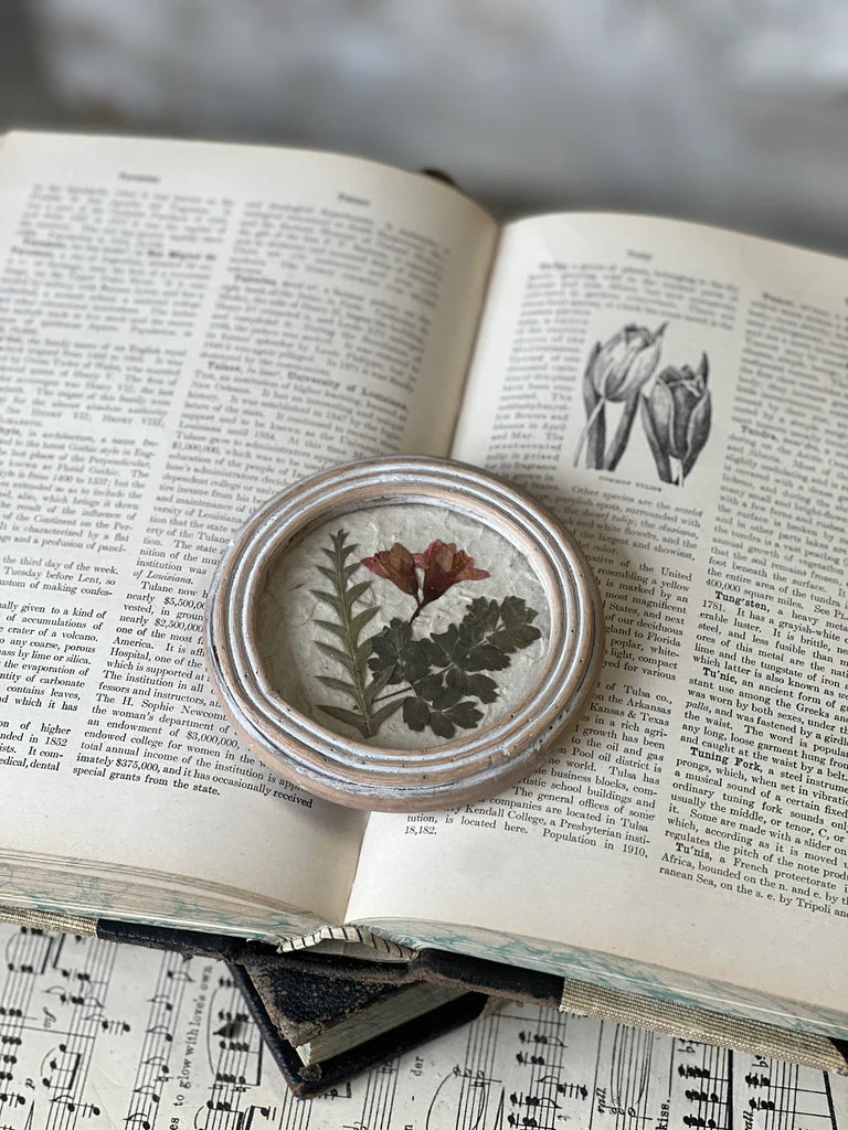 Jardin Botanicals No. 3, Feathered Farmhouse