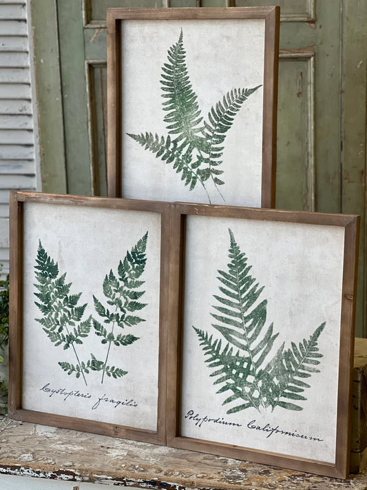 Forest Glen Fern Prints, The Feathered Farmhouse