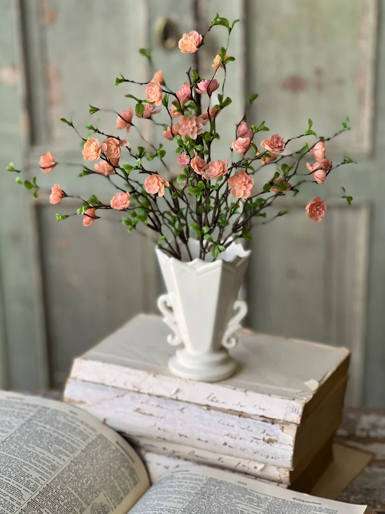 Peach Quince Bush, Feathered Farmhouse