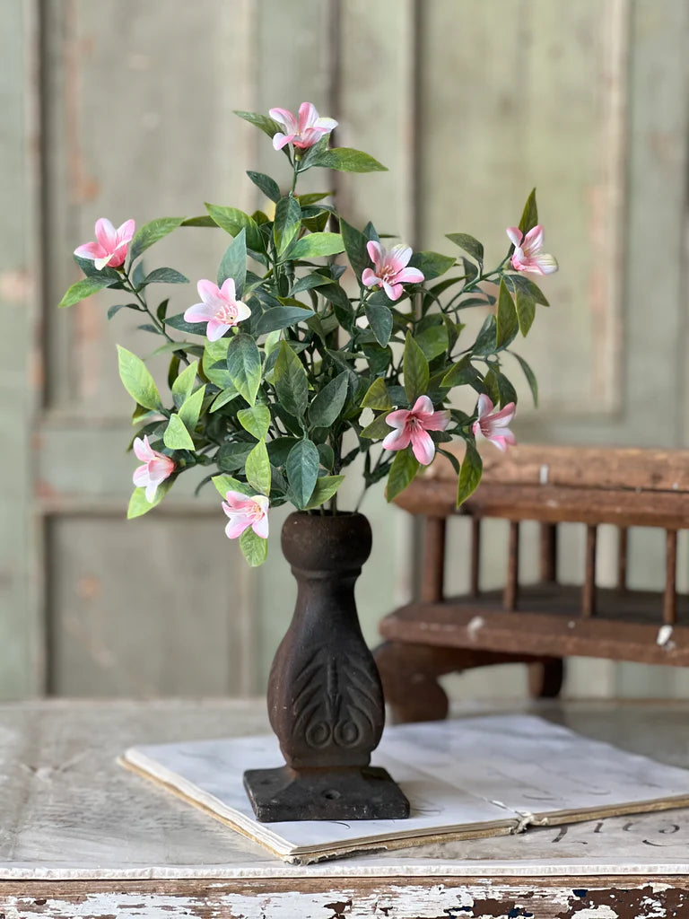 Bashful Blooms Bush, Feathered Farmhouse