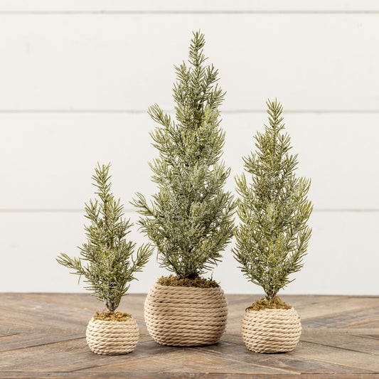 Verbier Tree in Pot, Feathered Farmhouse